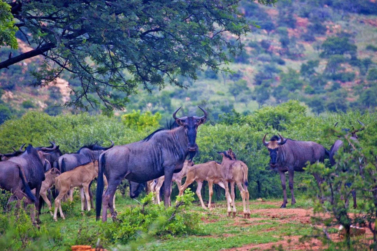 Kedar Heritage Lodge, Conference Centre & Spa Phokeng 외부 사진